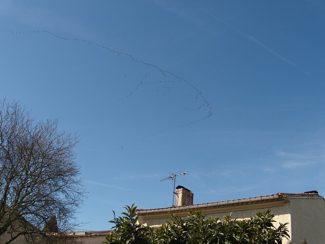 DSCN7591.JPG