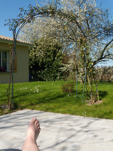 DSCN7698.JPG