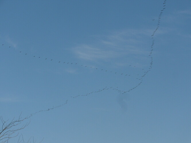 DSCN5830.JPG