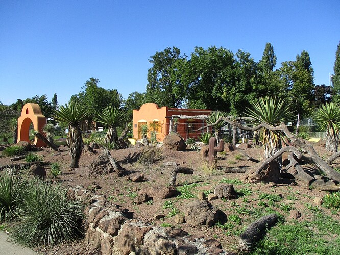 jardin-mexicain.jpg