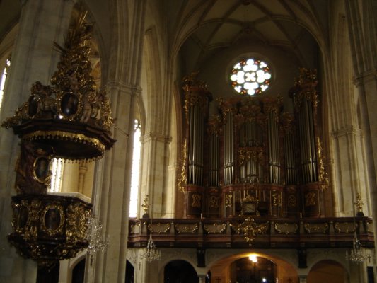 Dom Orgel.jpg