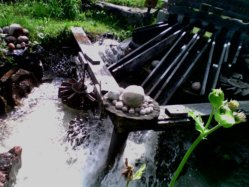 IMG1993A.jpg