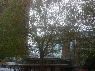 IMGP2528_opt.jpg